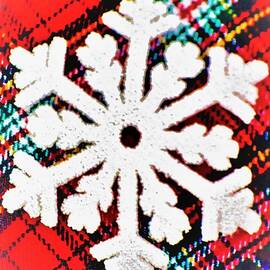 Delicate Snowflake by Elizabeth Pennington