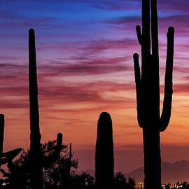 Desert Silhouette Sunset  by Saija Lehtonen