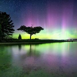 Detroit Point Soft Northern Lights  by Ron Wiltse