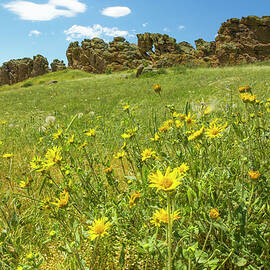 Devil's Backbone - Loveland, Colorado by Aaron Spong