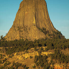 Devils Tower Morning Light by Steve Gadomski