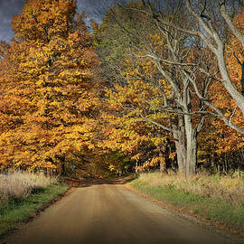 Dirt Road Backstreet by Randall Nyhof