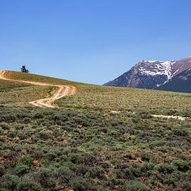 Dirt Road Through Leadville Colorado by Dan Sproul