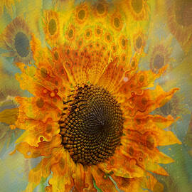 Dizzy Dazin Sunflower Abstract by Marilyn DeBlock