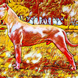 Dogo Argentino in the woods - colorful warm colors digital painting by Nicko Prints