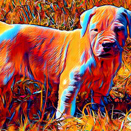 Dogo Argentino puppy in the grass - colorful dark orange, red and cyan by Nicko Prints