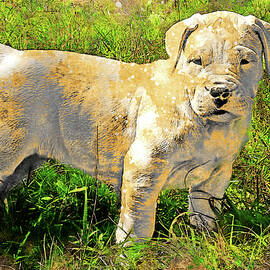 Dogo Argentino puppy in the grass - digital painting with vintage look by Nicko Prints
