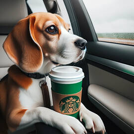 Dog's Riding in Cars with Coffee by Holly Picano