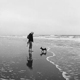 Dogwalk at the northsea by David Freigner