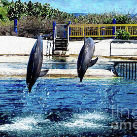 Dolphins Dance Photographic Art by Diana Mary Sharpton