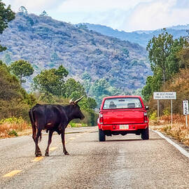 Don't Travel with a Red Car In Mexico  by Tatiana Travelways