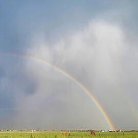 Double Rainbow Near Amarillo, Texas  by Ally White