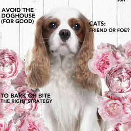 Douge Magazine by Mindy Sommers