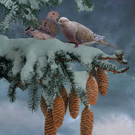 Doves in the Snow by M Spadecaller
