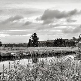 Down By The River - Black And White by Beautiful Oregon