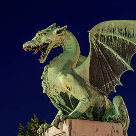 Dragon Statue At Night In Ljubljana by Artur Bogacki