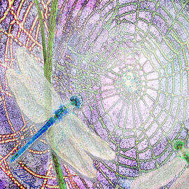 Dragonflies on Spider Web by Michele Avanti