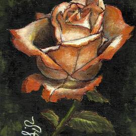 Dramatic Gypsy Rose by VLee Watson