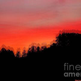 Dream Of A Mad Orange Sunset by Tami Quigley