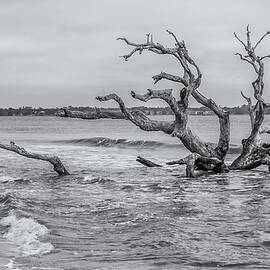 Driftwood Beach at High Tide by Andrew Wilson