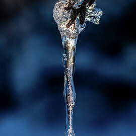 Dripping Ice by Len Bomba