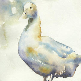 Duck 5 by Ryan Fox
