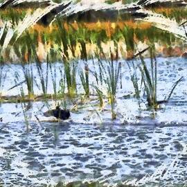 Ducks Among the Reeds by Mario Carini