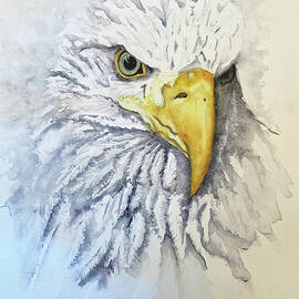 Eagle Eye by Colette Ernst