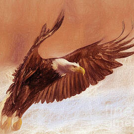 Eagle shadow  by Gull G