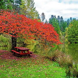 Early Fall in City Park   by Alex Lyubar