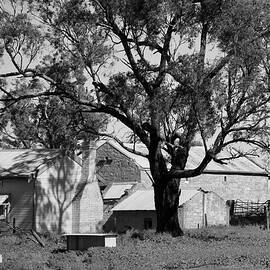 Early Settlers Farm by Lee Stickels