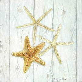 Earthy Beach Sea Shells Starfish on wood II Watercolor  by Audrey Jeanne Roberts