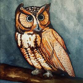 Eastern Screech Owl W/Border by Michael Panno
