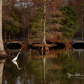 Egret on Stumpy Lake Cropped with Signature by Joni Eskridge