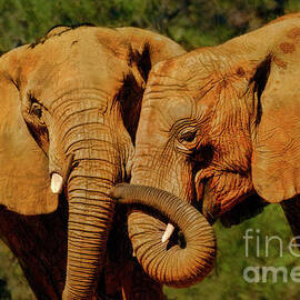 Elephant A little Love by Blake Richards