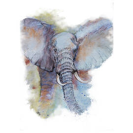 Elephant Art on Canvas by Ronel BRODERICK