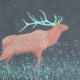 Elk For The Elks by Doug Miller