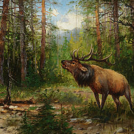 Elk Glacier Park by John Fery