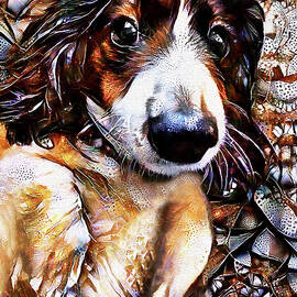 Elphie the Longhaired Dachshund by Peggy Collins
