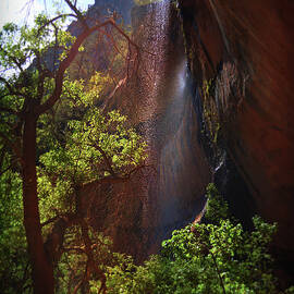 Emerald Pools Waterfall Of Zion by Glenn McCarthy Art and Photography