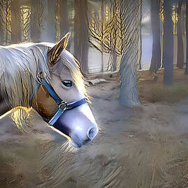 Enchanted Horse  by Debra Kewley