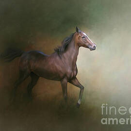 Equestrian Beauty by Warrena J Barnerd