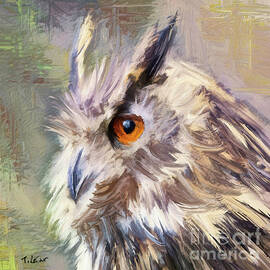Eurasian Owl by Tina LeCour