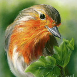 European Robin with Ivy Leaves by MM Anderson