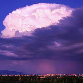 Evening Rain In Tucson by Douglas Taylor