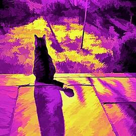 Evening Shadow Cat by Mo Barton