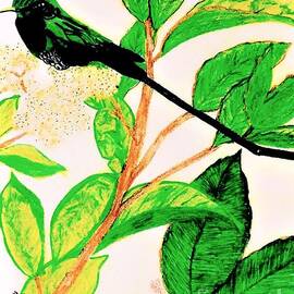Exotic Hummingbird  by Debra Lynch