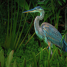 Expressionistic Great Blue Heron Hunting by Rebecca Herranen