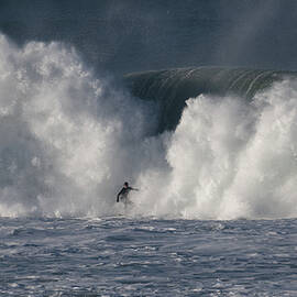 Extreme Surfing by John McGinty