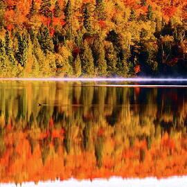 Fall and the Duck at Nine Mile Lake by Tom Halseth